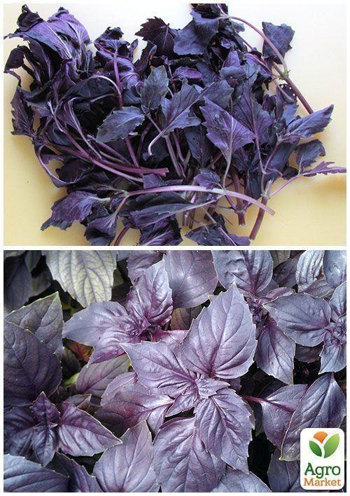 На развес Базилик фиолетовый "Пурпурный" ТМ "Весна" цена за 3г - фото 4