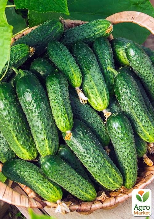 Огурец "Балаган" (в банке) ТМ "Весна Органик" 15шт