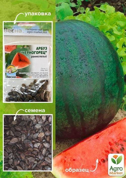 Кавун "Чорногорець" (Зипер) ТМ "Весна" 4г