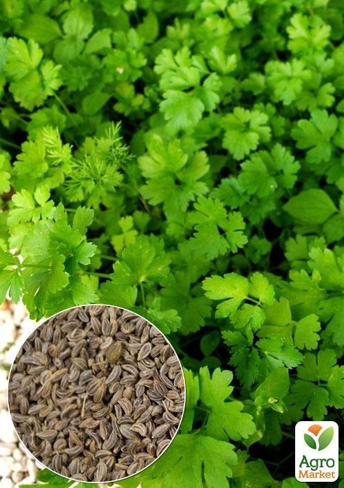 На вагу Петрушка "Гігантелла" ТМ "Весна" ціна за 10г