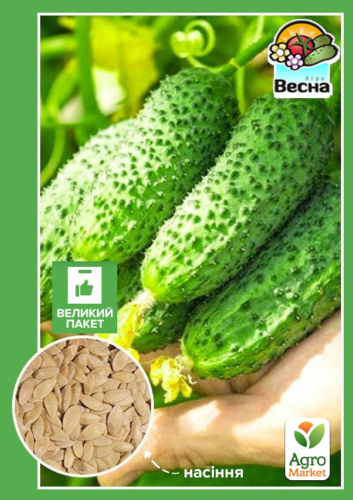 Огурец "Конкурент" (Большой пакет) ТМ "Весна" 2г