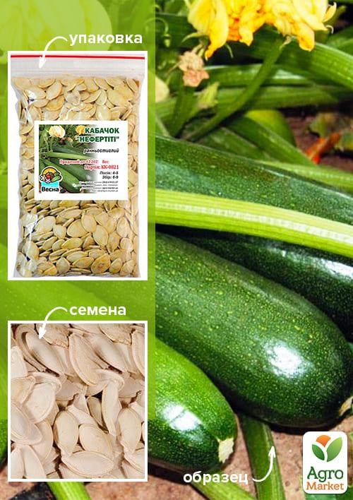 Кабачок "Нефертіті" ТМ "Весна" 100г