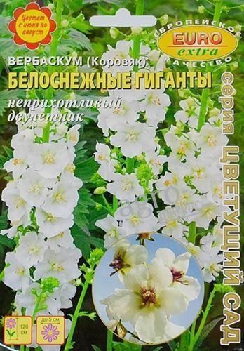 Вербаскум (коровяк) "Белоснежные гиганты" ТМ "Аэлита" 0.03г