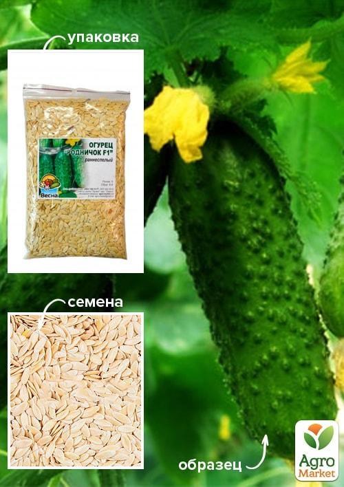 Огурец "Родничок F1" ТМ "Весна" 100г