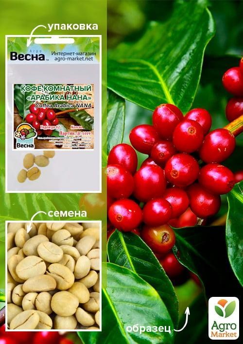 Кава кімнатний "Арабіка Нана" (Зипер) ТМ "Весна" 5шт