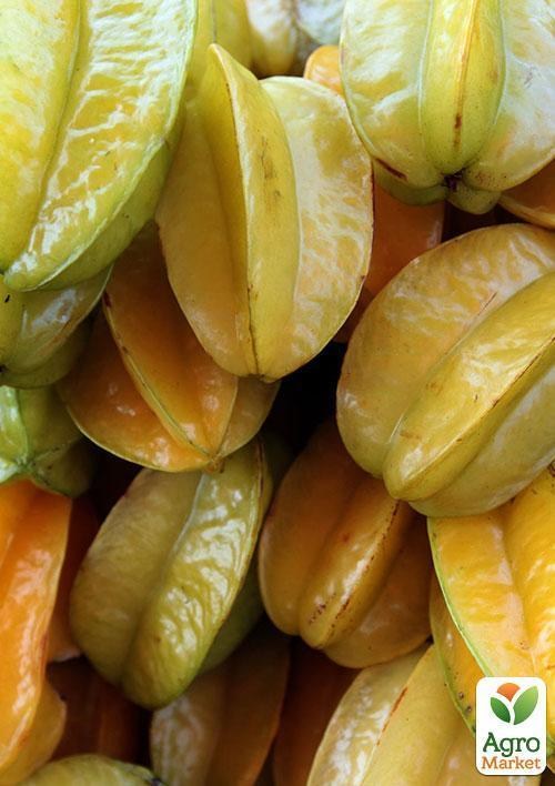 Карамболь "Звездный час" ТМ "Vesna Exclusive"3шт - фото 7