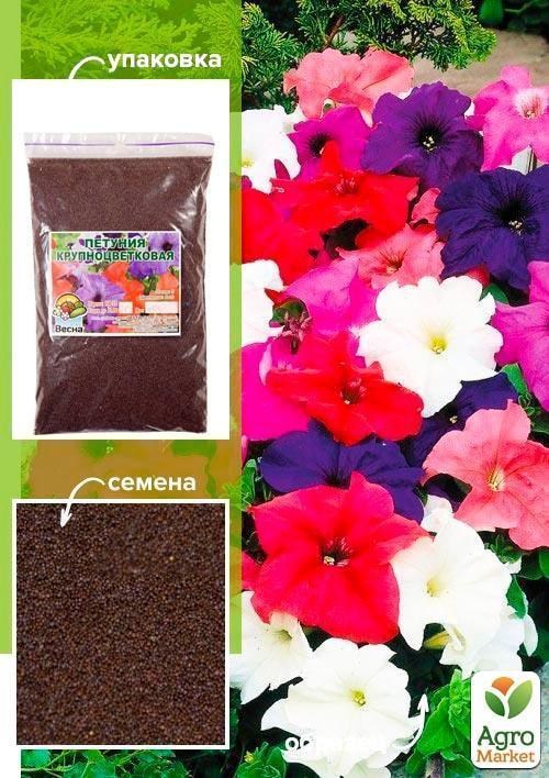 Петуния "Крупноцветковая смесь ТМ "Весна" 100г