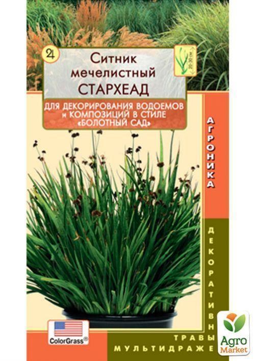 Ситник мечолистий "СтарХеад" ТМ "Плазмові насіння" 3шт
