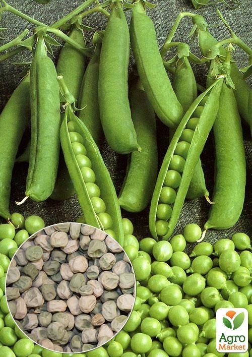 На развес Горох "Сахарный стручок" ТМ "Весна" цена за 50г
