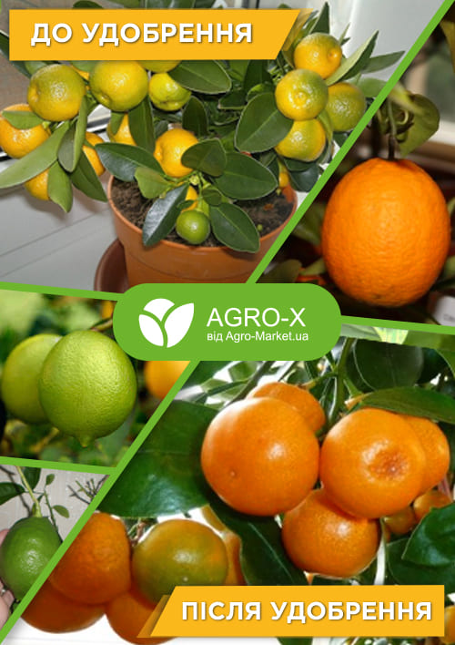 Минеральное удобрение BIOHYPER EXTRA "Для цитрусовых" (Биохайпер Экстра) ТМ "AGRO-X" 100г