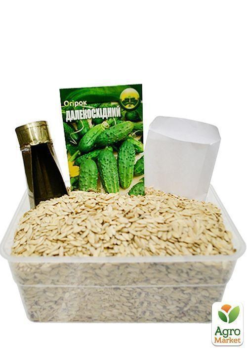 На развес Огурец "Дальневосточный" ТМ "Весна" цена  за 2г - фото 2