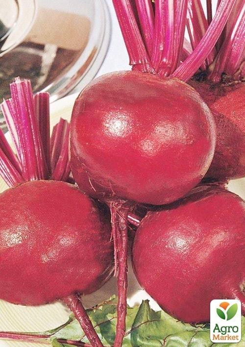 Свекла "Кадет" ТМ "Satimex" 10кг