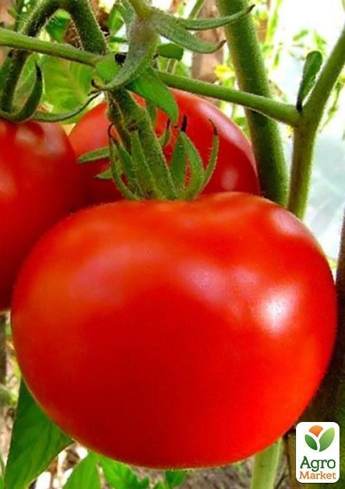 Томат "Баллада" (в банке) ТМ "Весна Органик" 3г