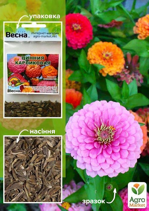 Цинния "Карликовая" смесь (Зипер) ТМ "Весна" 1г