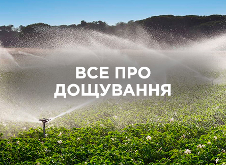Що таке дощування і як правильно його організувати?