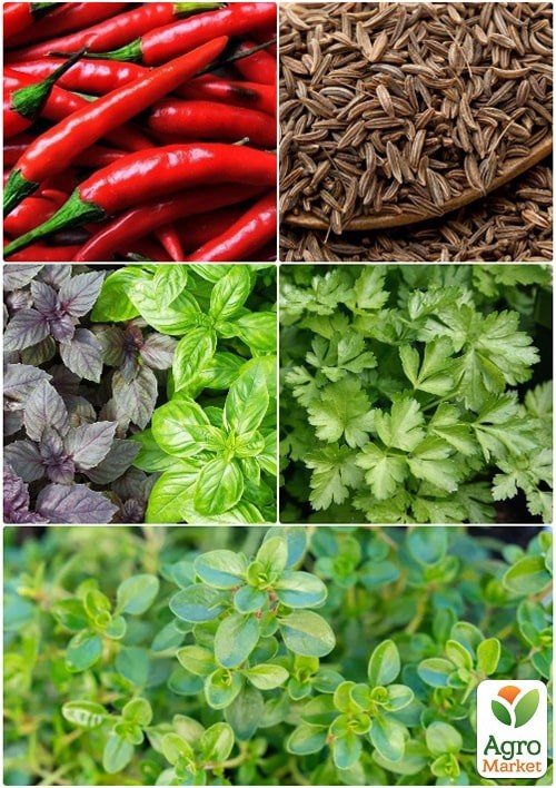 Смесь пряных трав "Приправы к мясу" ТМ "Vesna Select" 2г