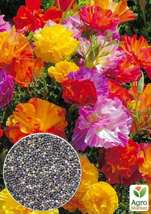 На развес Эшшольция КалифорнийскаяТМ "Весна" цена за 2г