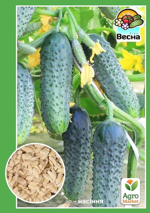 Огірок "Кущовий" ТМ "Весна" 0.5г