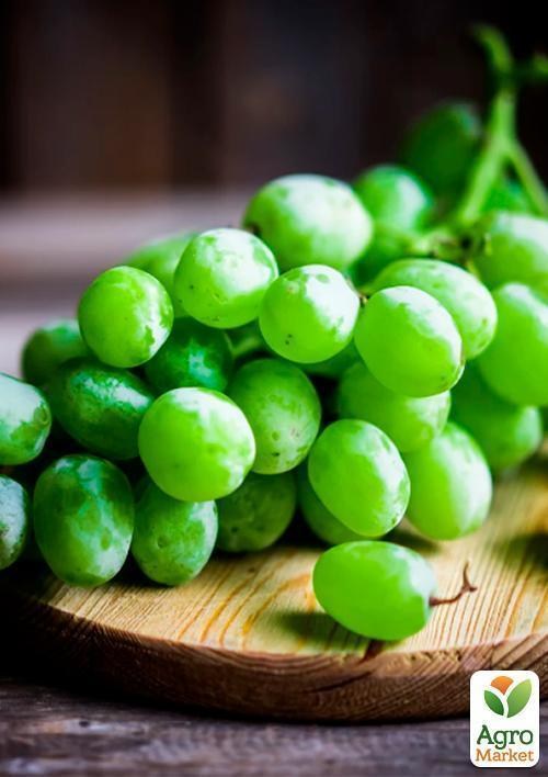 Виноград "Кураж"