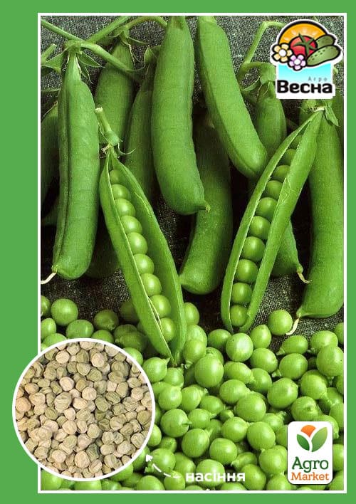 Горох "Солодке гроно" (Новий пакет) ТМ "Весна" 10г