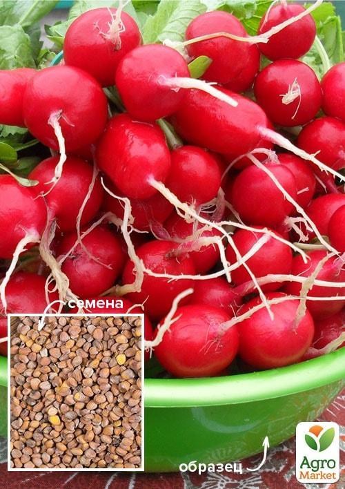Редис "Всі сезони" ТМ "Весна" 100г