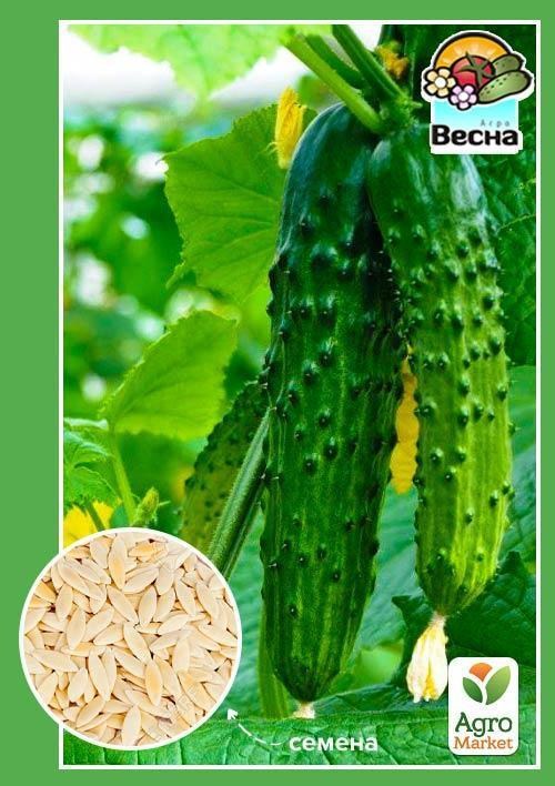 Огірок "Стрекоза F1" ТМ "Весна"  0.25г