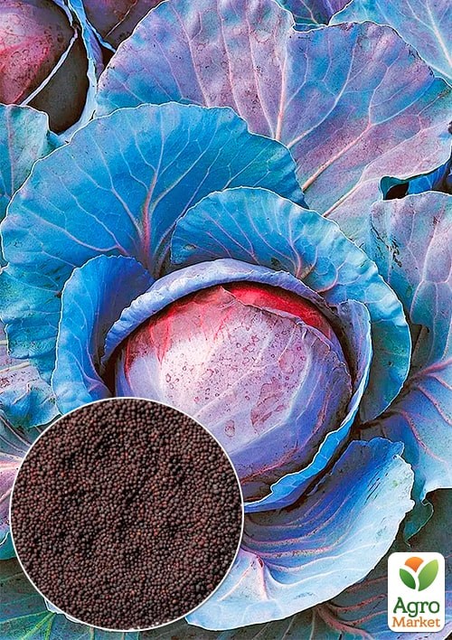 Капуста червонокачанна "Топаз" (Зипер) ТМ "Весна" 1г