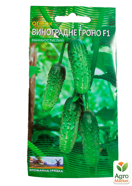 Огірок "Виноградне Гроно F1" ТМ "Весна" 0.5г - фото 2