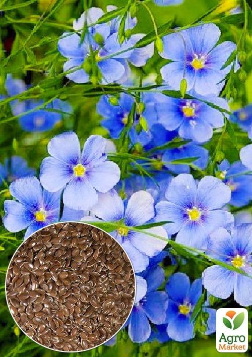 На развес Лен Многолетний ТМ "Весна" цена за 3г