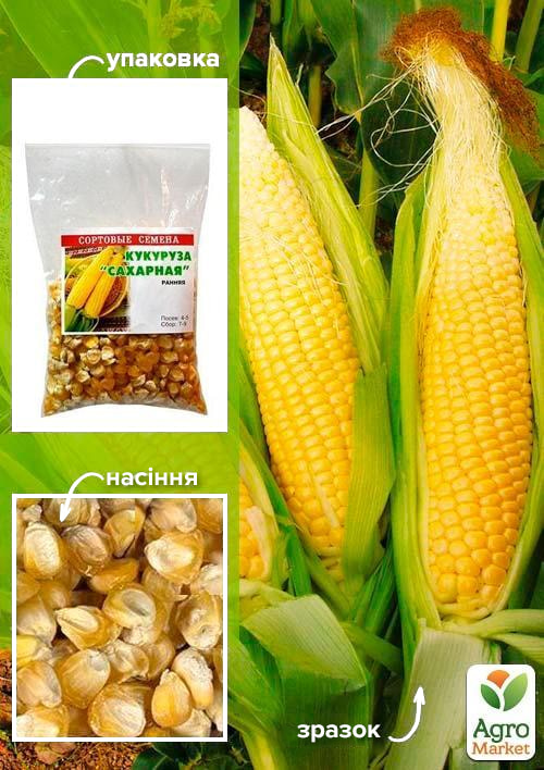 Кукуруза "Сахарная" ТМ "Весна" 100г