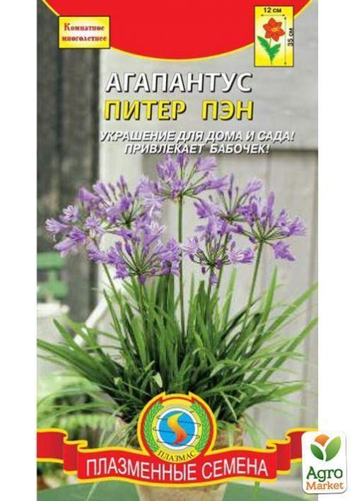 Агапантус "Питер Пен" ТМ "Плазменные семена" 4шт
