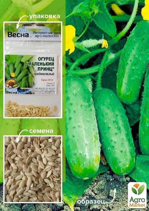 Огурец "Маленький принц" (Зипер) ТМ "Весна" 1.5г