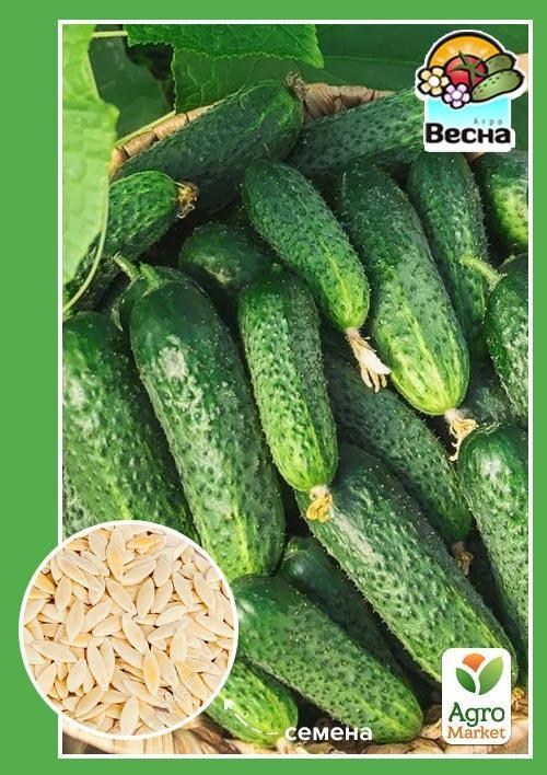 Огірок "Вересень" ТМ "Весна" 0.5г