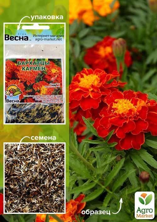Бархатцы "Кармен" (Зипер) ТМ "Весна" 1г