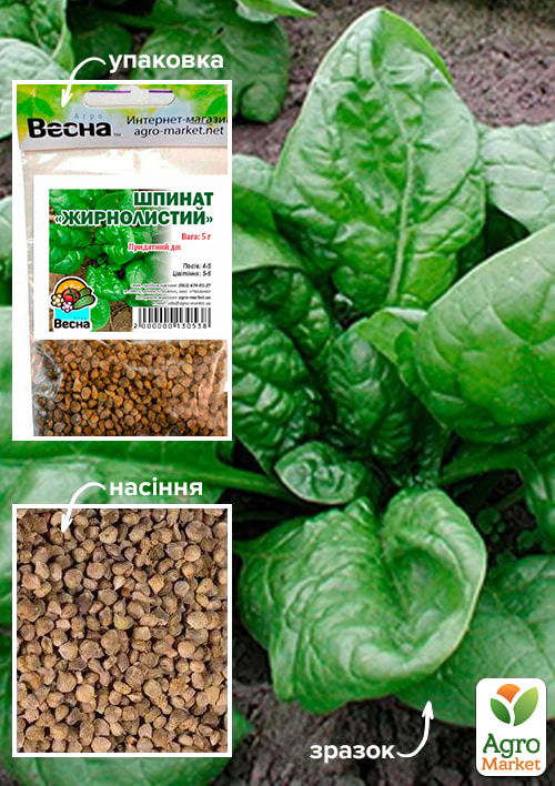 Шпинат "Жирнолистий" (Зипер) ТМ "Весна" 5г