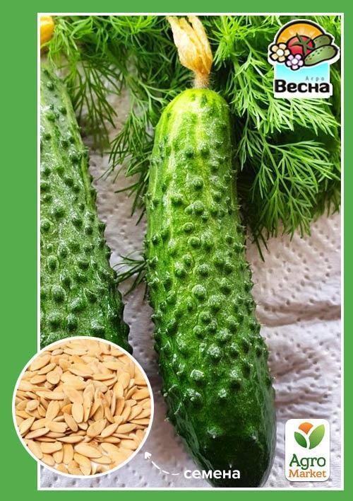 Огурец "Малышок крепышок F1" (Новый пакет) ТМ "Весна" 0.25г