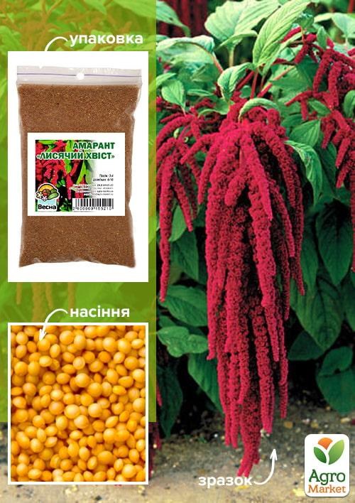 Амарант "Лисий хвост" ТМ "Весна" 100гр