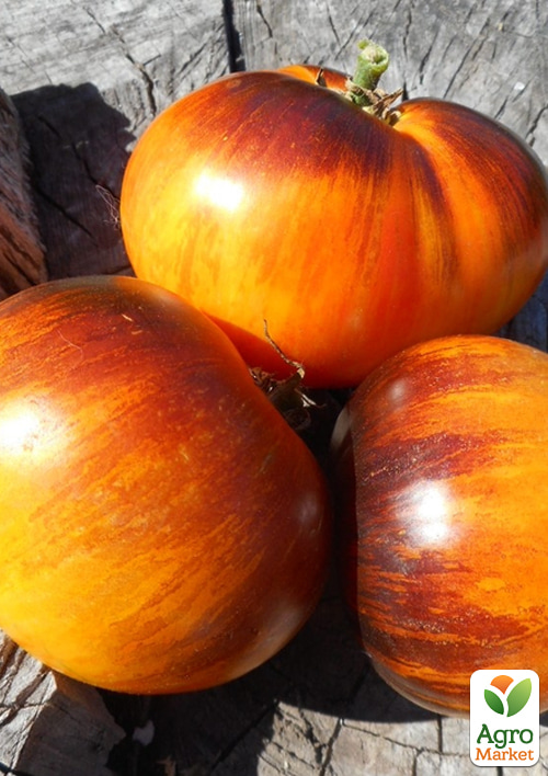 Томат "Alice`s Dream" ТМ "Vesna Select" 20шт - фото 3