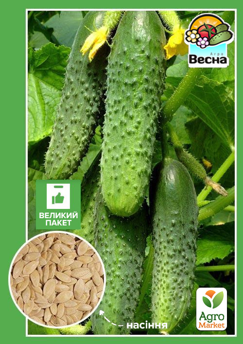 Огірок "Фенікс 640" (Великий пакет) ТМ "Весна" 2г