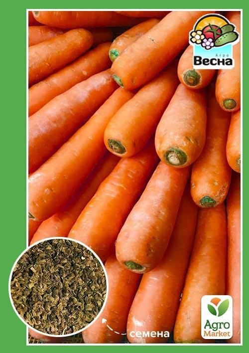 Морква "Ява" ТМ "Весна" 2г