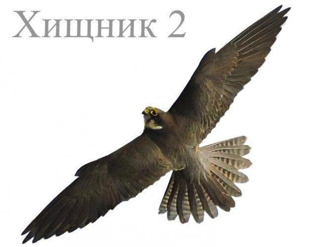 Визуальный отпугиватель птиц "Хищник 2"