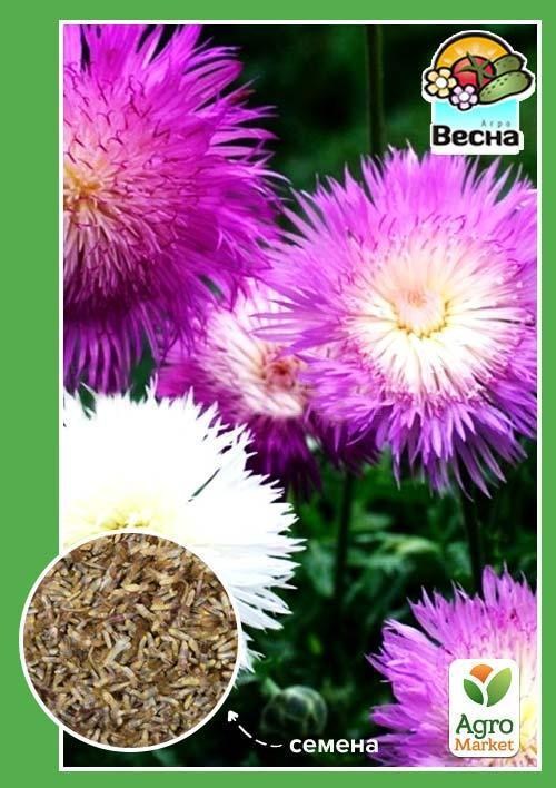 Василек "Императорский" ТМ "Весна" 0.3г