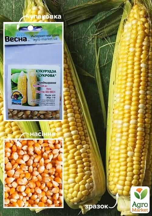 Кукурудза "Цукрова" (Зипер) ТМ "Весна" 15г