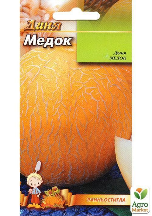 Дыня "Медок" ТМ "Весна" 1.5г - фото 2