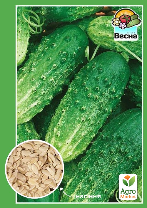 Огірок "Льоша F1" ТМ "Весна" 0.5г