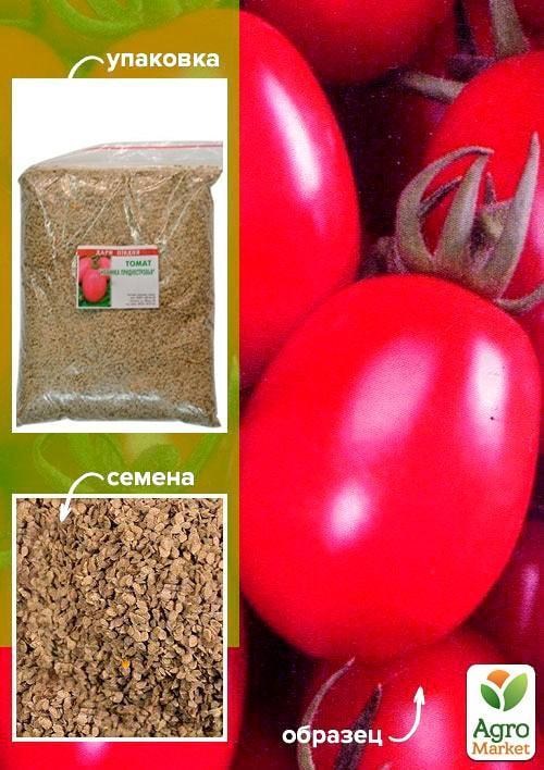 Томат "Новинка Приднестровья" ТМ "Весна" 500г