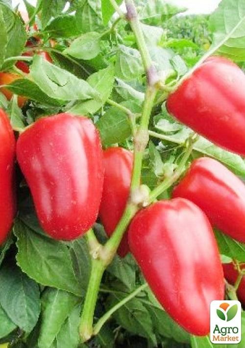 Перец "Спарк F1" ТМ "Lark Seeds" 500шт