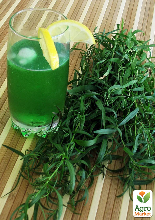 Тархун "Монарх"  (изысканная кулинарная пряность) 