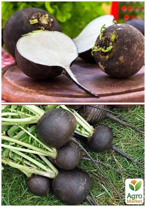 На развес Редька "Зимняя черная" ТМ "Весна" цена за 15г - фото 4