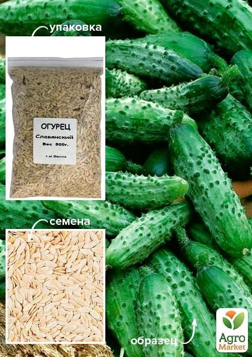 Огірок "Слов'янський" ТМ "Весна" 500г